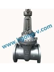 API/ANSI cast steel/stainless steel flange gate valve